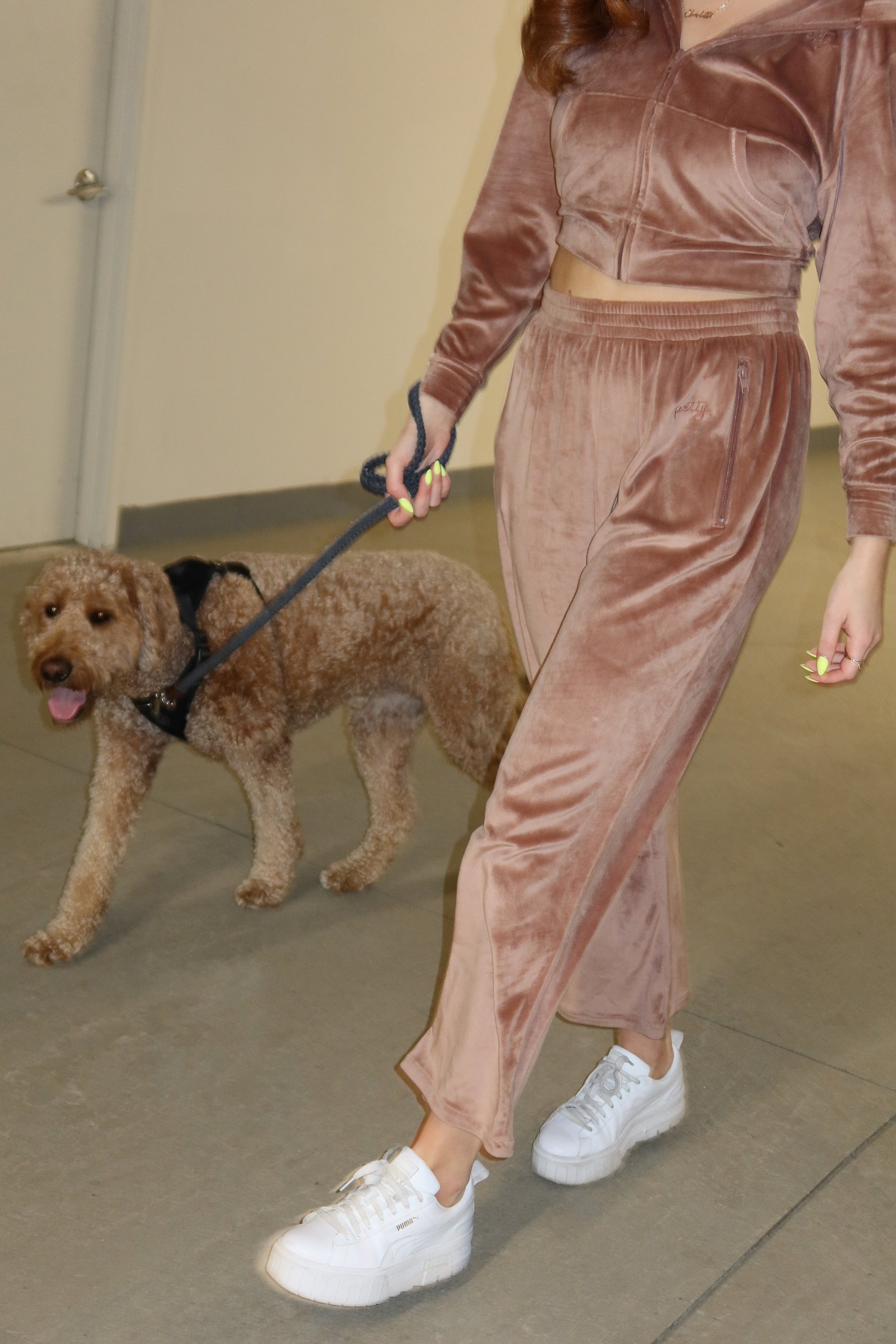 Petty Couture Velour Track Pants product image (1)