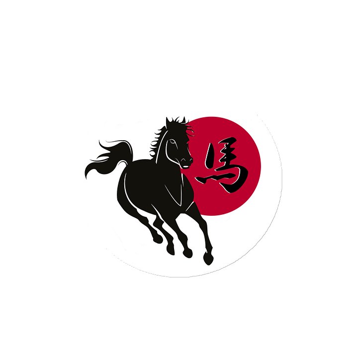 Year of the horse Magnet product image (2)