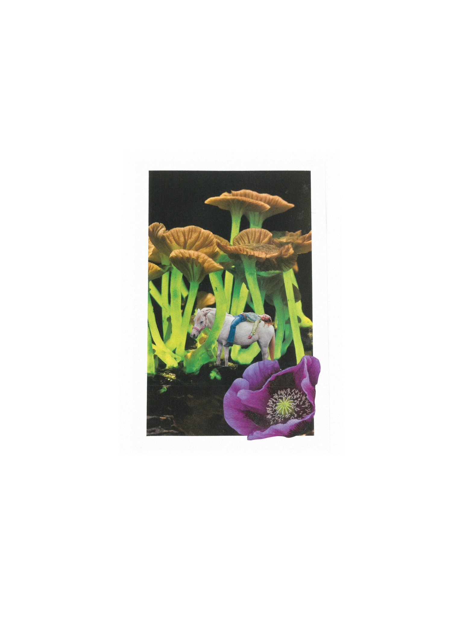 Lysergic Bliss product image (12)