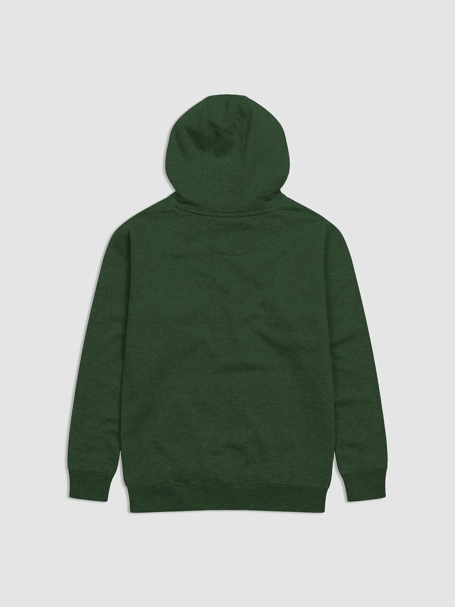 Green Hoodie product image (2)