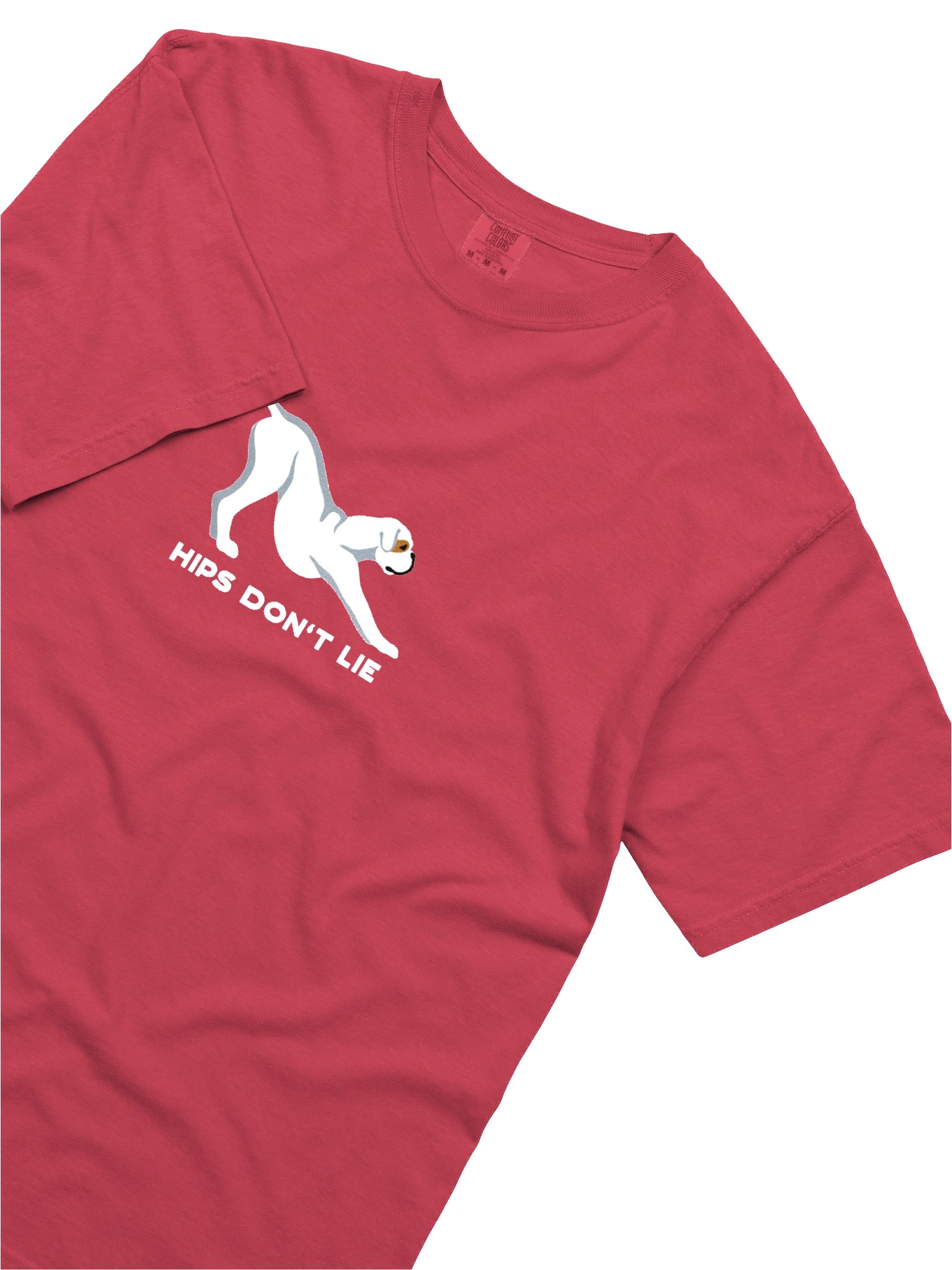 Hips Don't Lie T-Shirt(Embroidered) of a Boxer(White) product image (8)