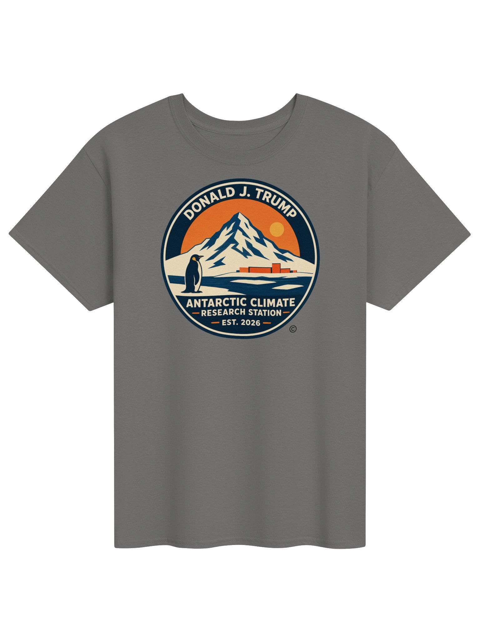 Gildan Heavyweight T-Shirt - Donald J. Trump Antarctic Climate Research Station™ product image (2)
