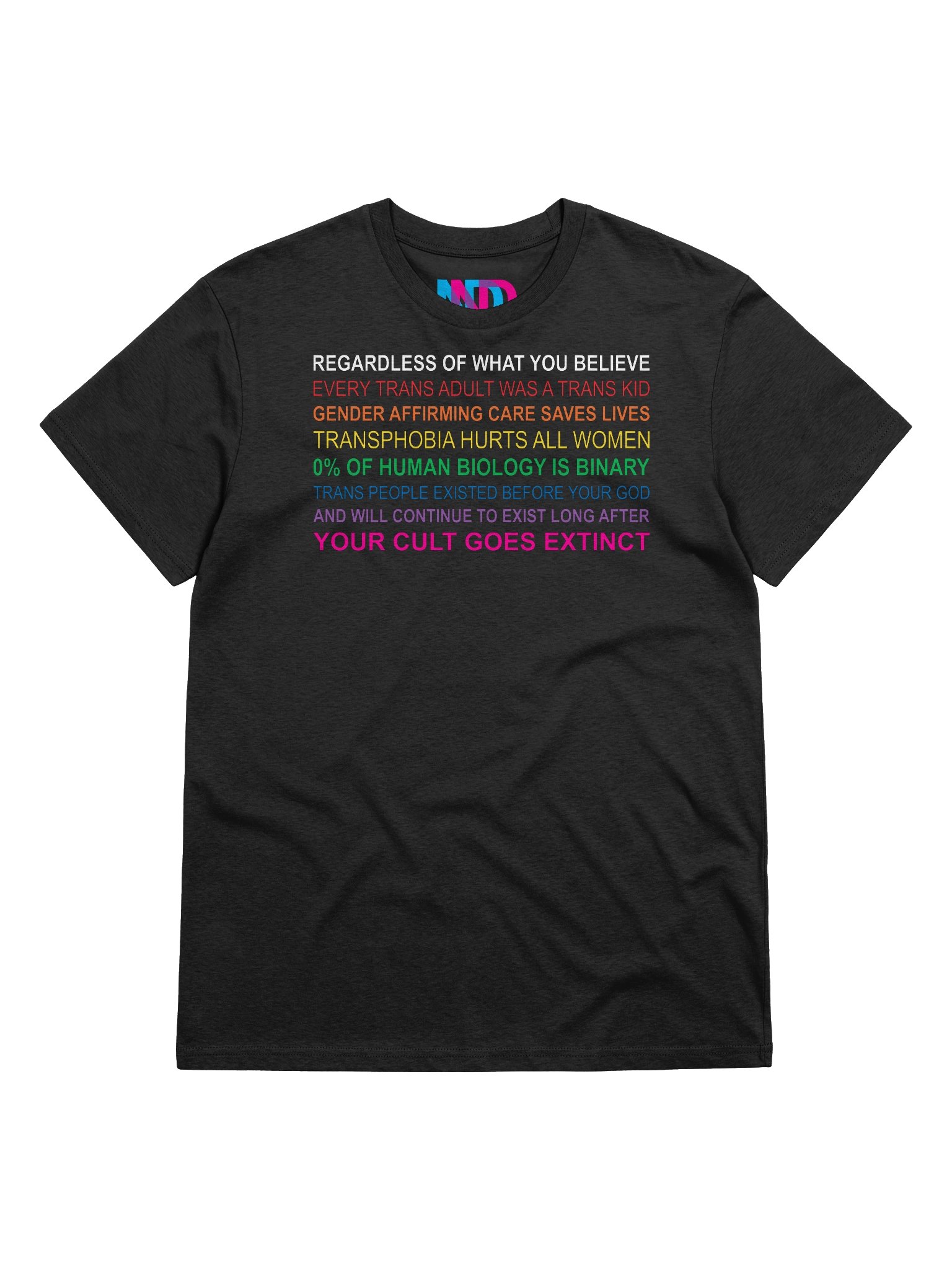 Regardless of What You Believe Tee product image (6)