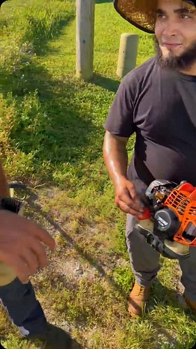 Which team are you from? 🤣🤣🤣🤣 #stihl #echo #lawncare #fyp #grassking