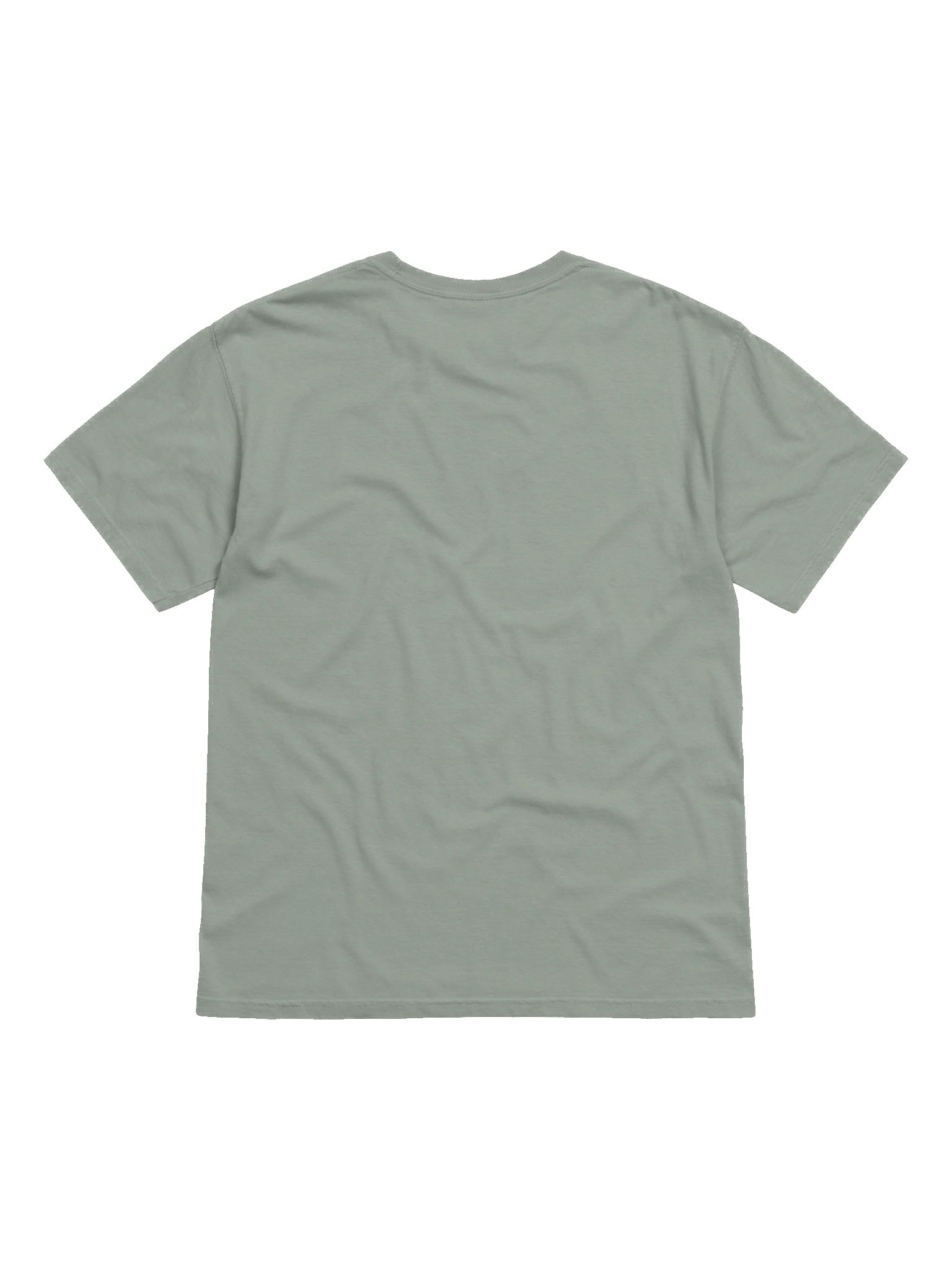Sankofa Heavyweight Tee product image (2)