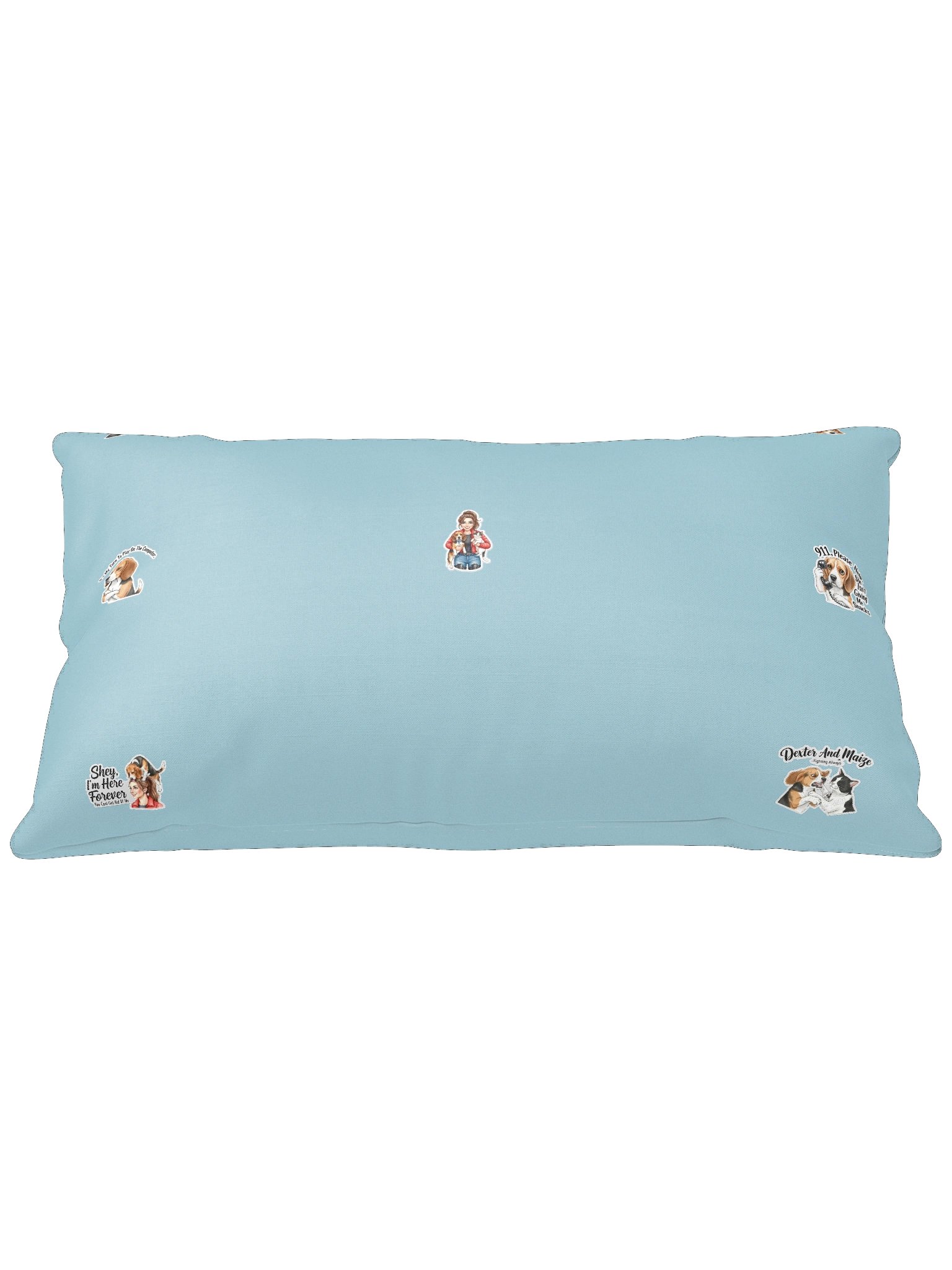Dex and Co. pillow product image (1)