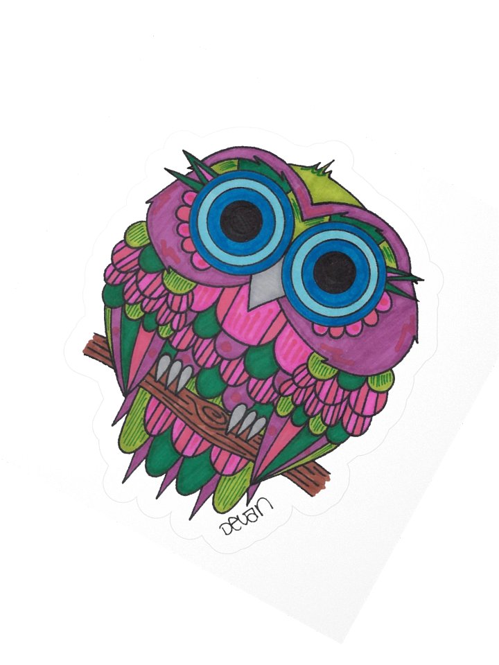 Cousins Owl: Petal Sticker product image (2)