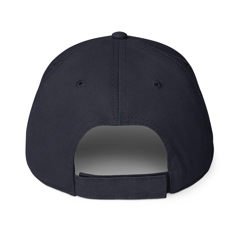 HTDS baseball cap product image (2)