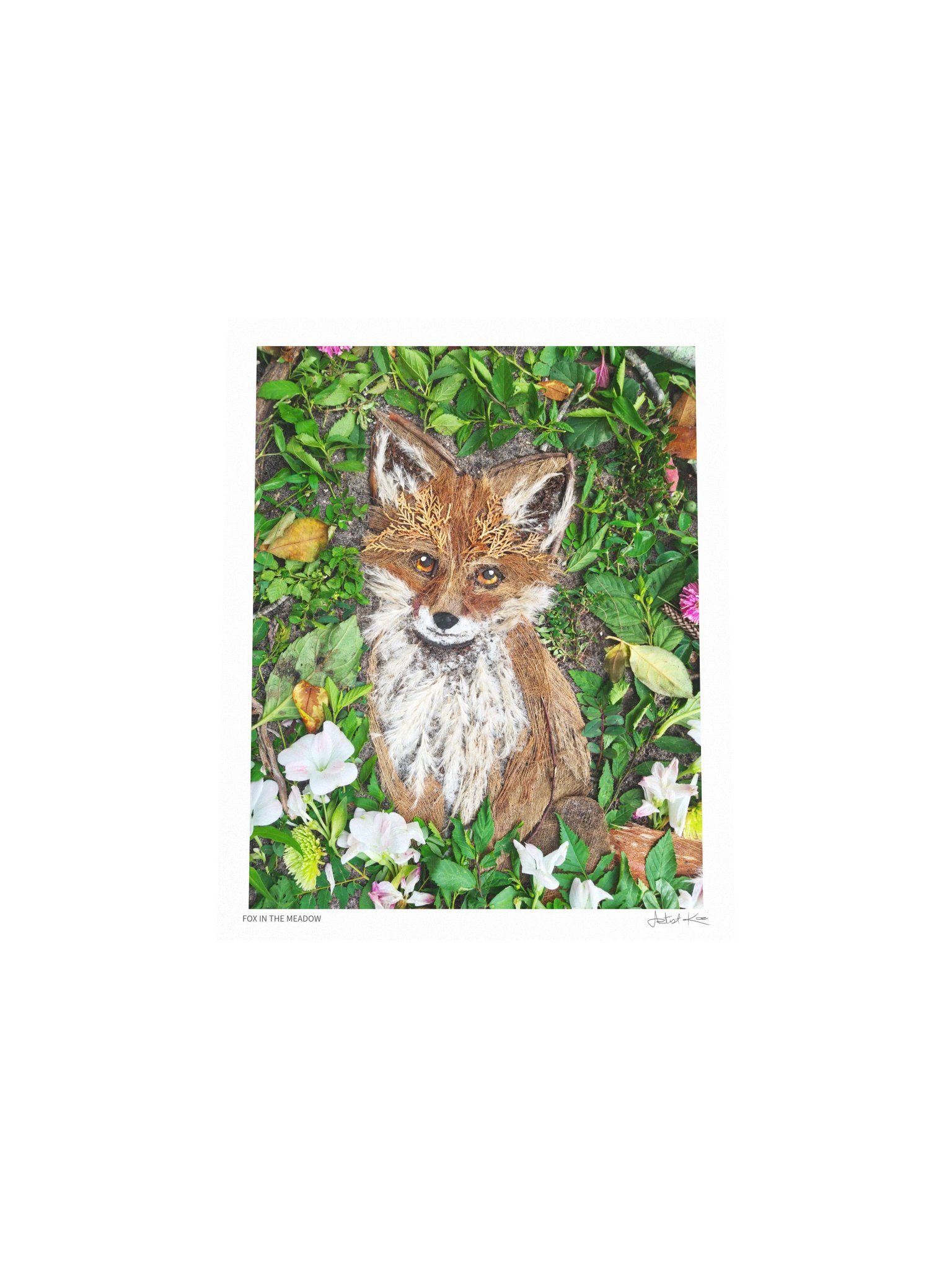FOX IN THE MEADOW | Nature Art Print product image (5)