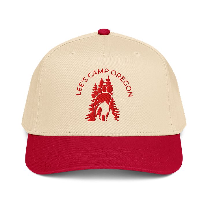 Logo Snap Back Baseball Hat product image (1)