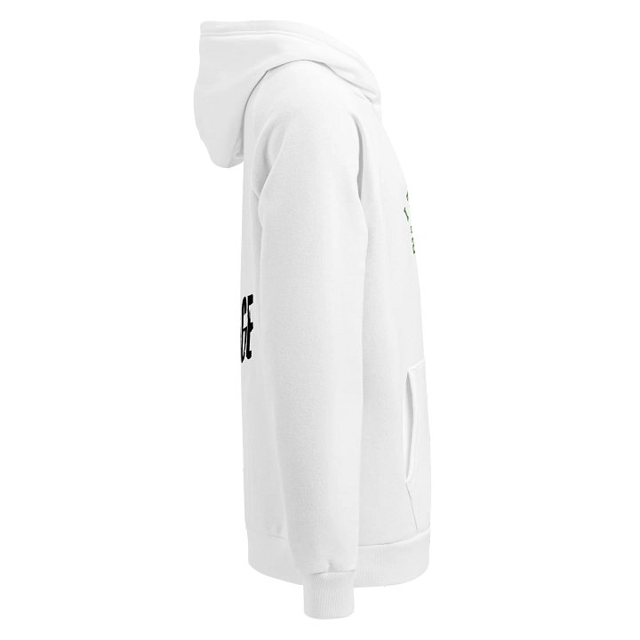 Under Armour I Told You So Hoodie product image (2)