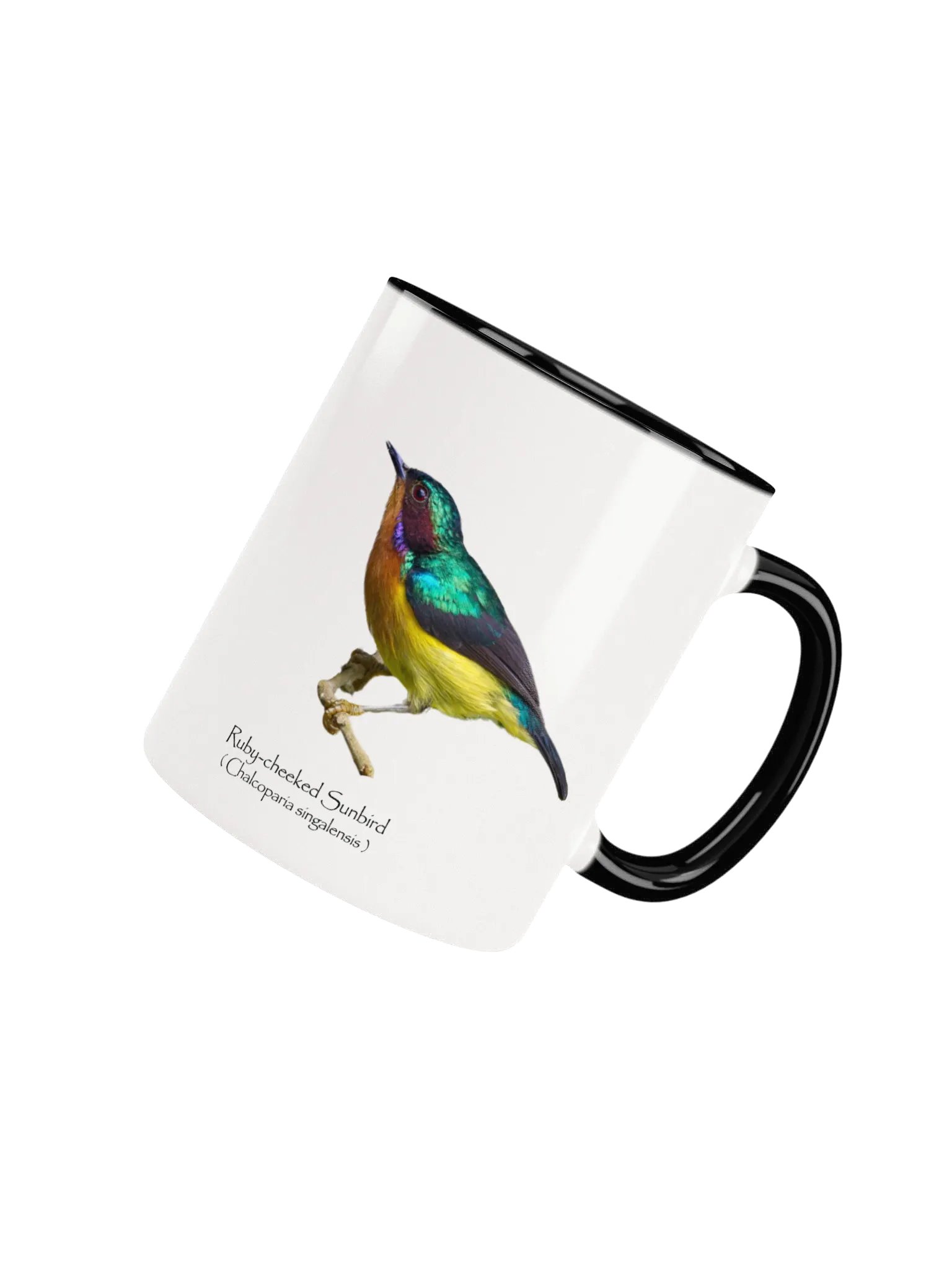 Ruby-cheeked Sunbird mug product image (32)