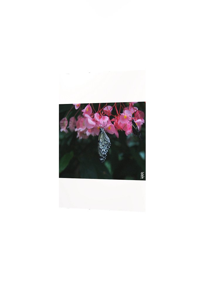 Butterfly Hanging from Flowers product image (9)