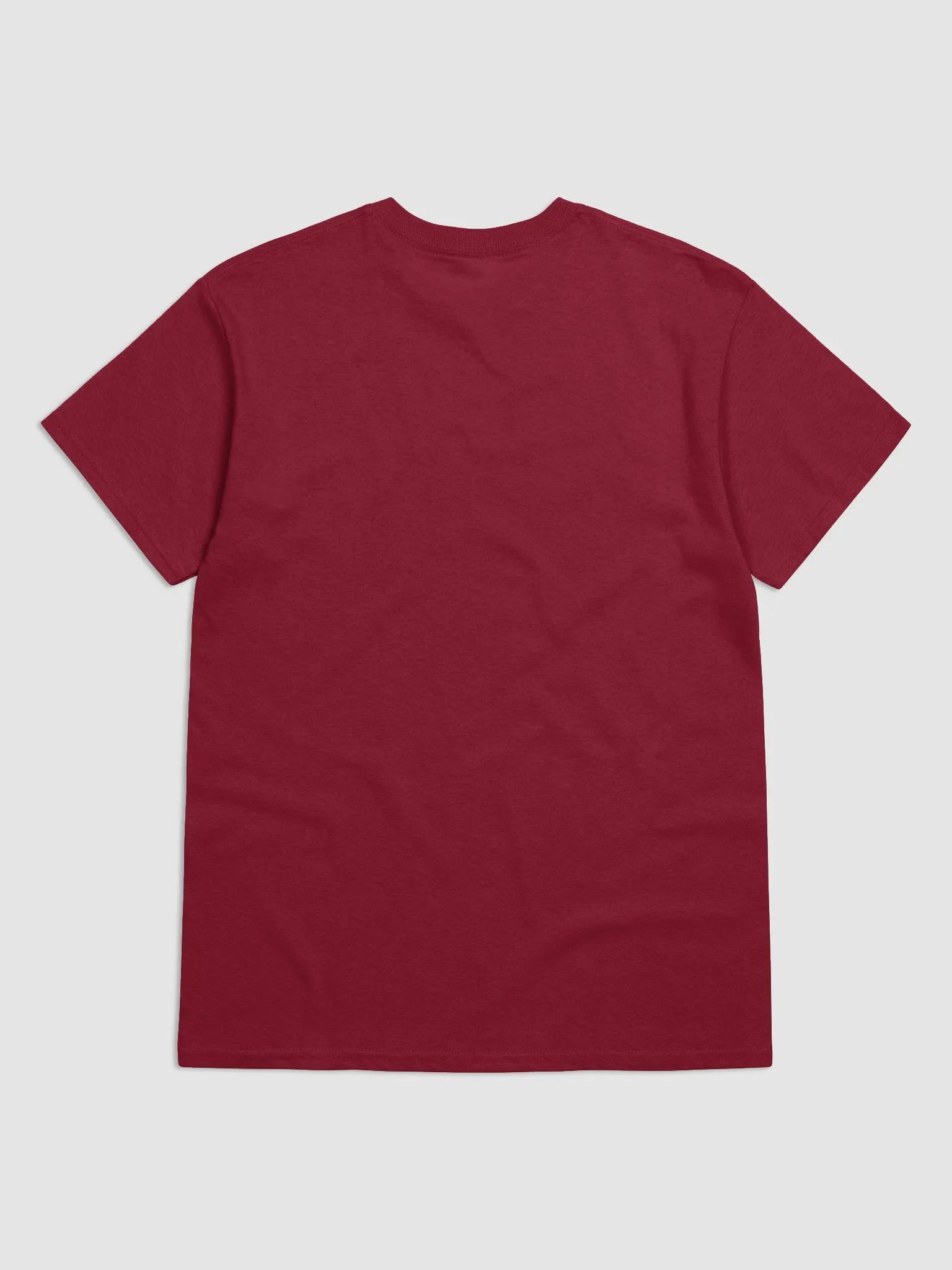 Logo 2.0 Tee product image (5)