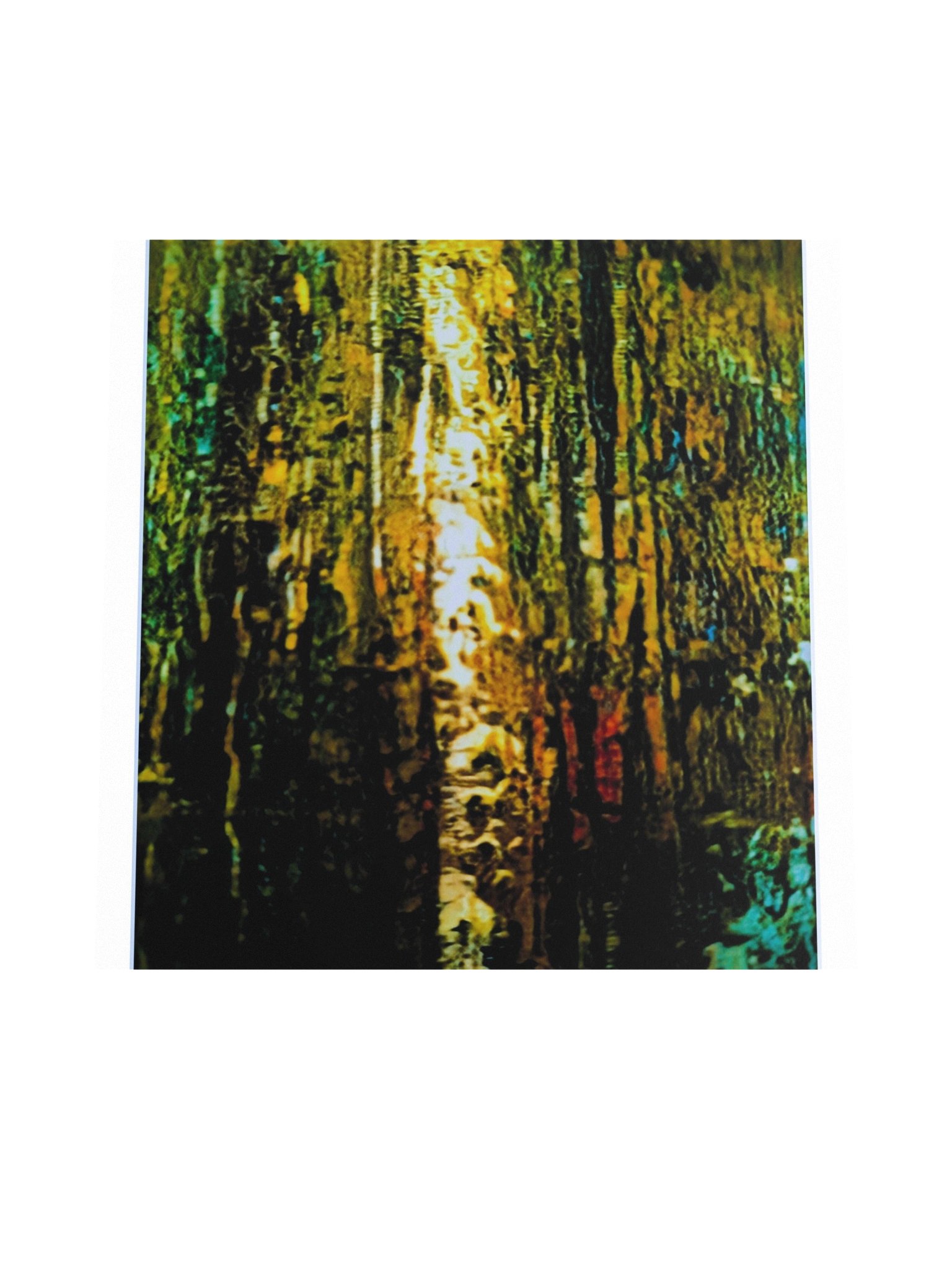 The Inner Forest (Unframed) Fine Art Print product image (4)