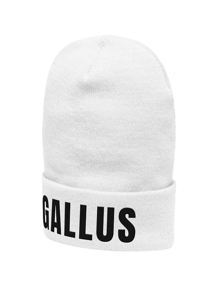 Gallus Beanie Bold product image (17)