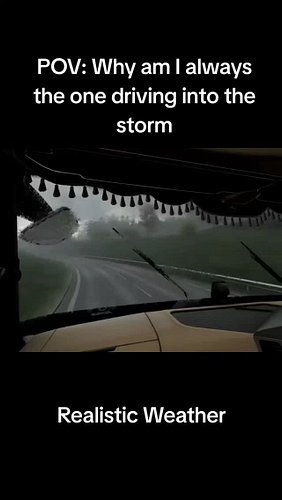 Dashcam POV drive on Euro Truck Simulator 2 in the Rain 🚛✨
Ultra-realistic graphics, smooth motorway cruising, and pure late-...