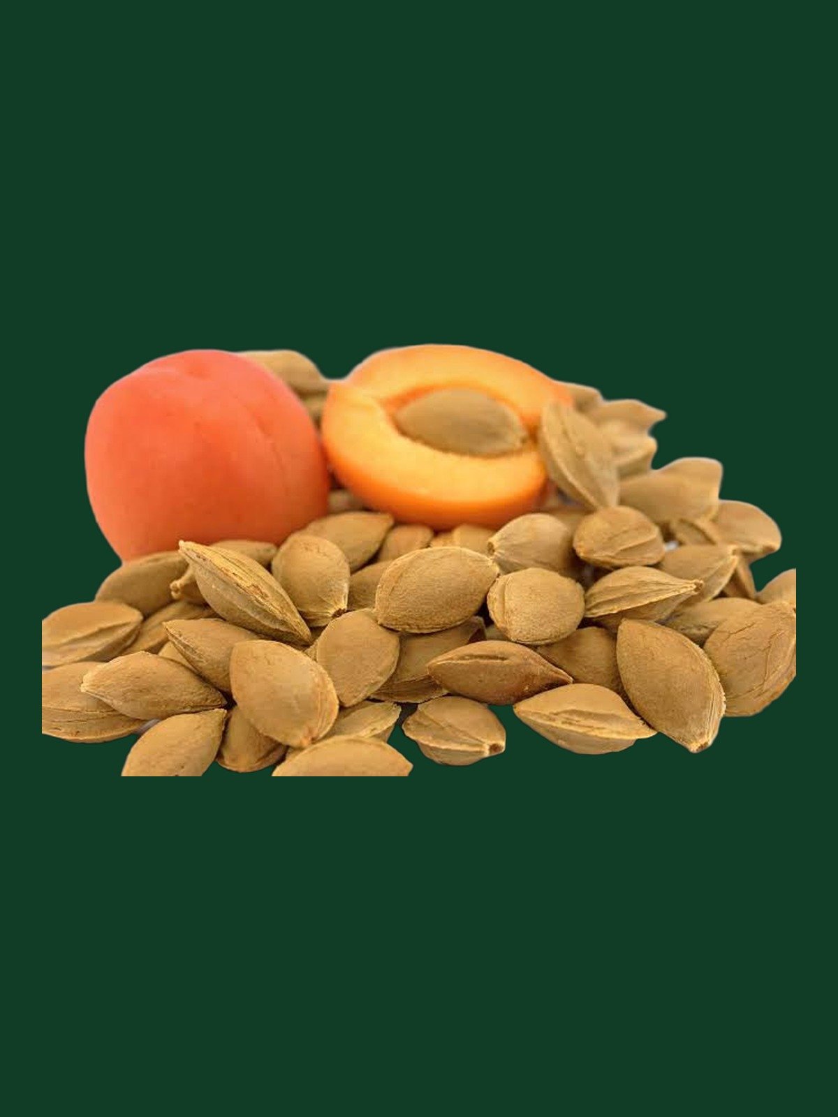 Raw Apricot Kernels product image (1)
