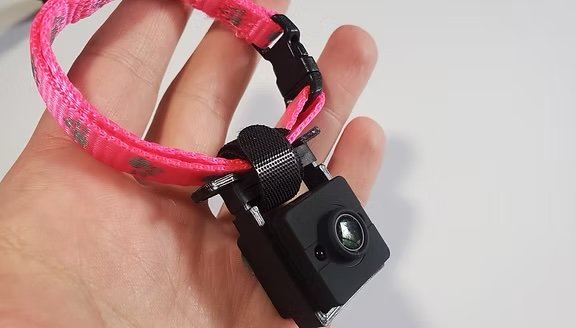 Tiny Pet Camera product image (5)