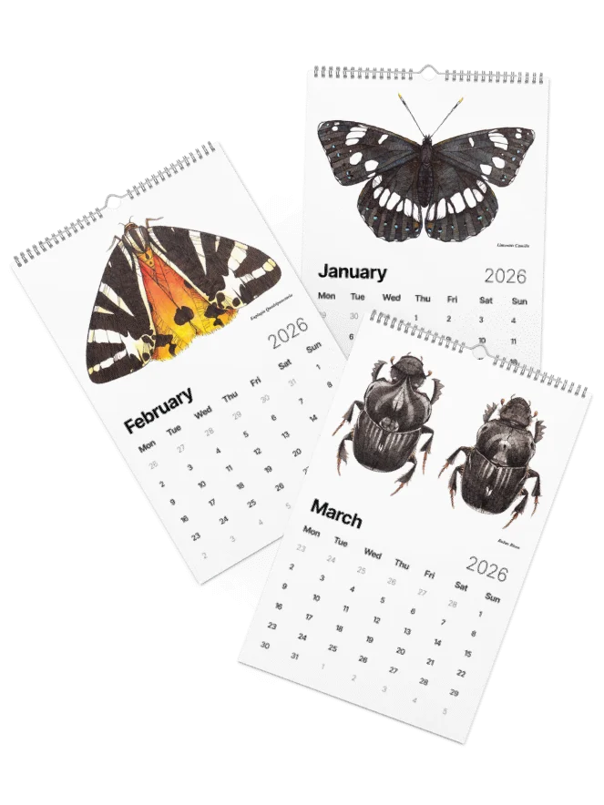 Insectum Abstractus • 2026 Calendar product image (35)