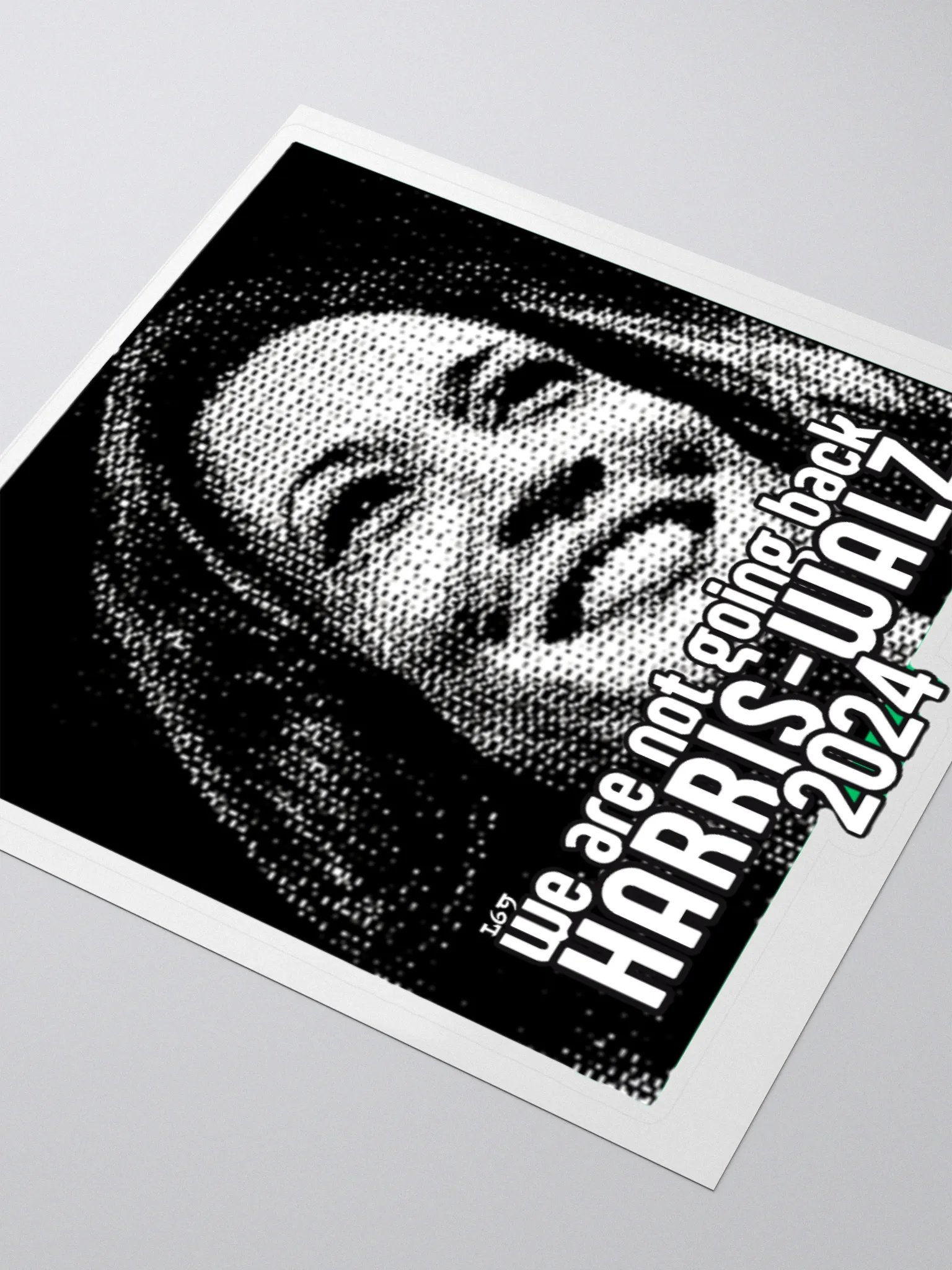 HARRIS-WALZ 2024 WE ARE NOT GOING BACK product image (8)