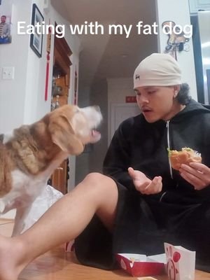 Bro got tired of waiting 😂 #dog #funny #viral 