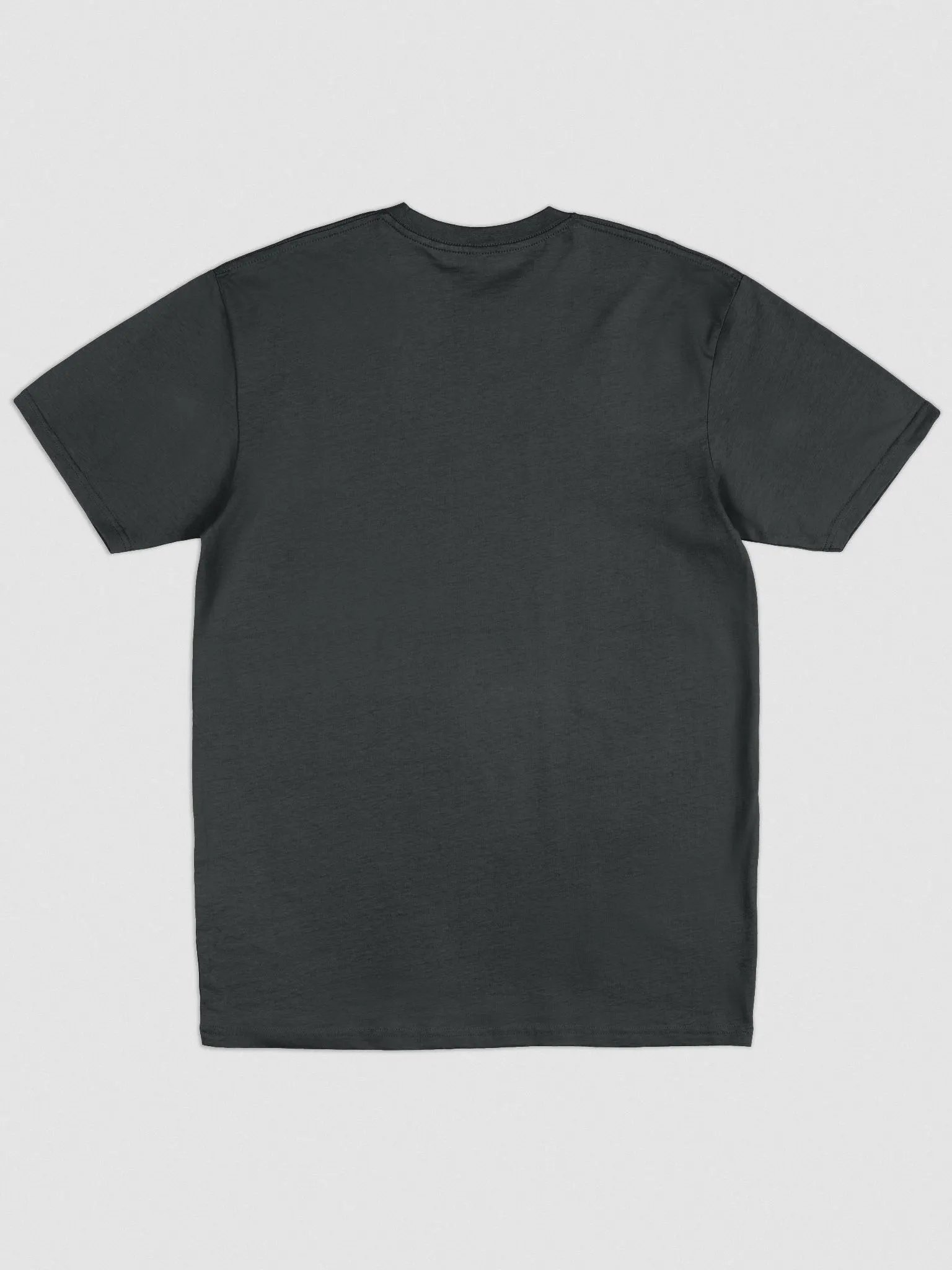 NotoriousX Premium Tee W/ Embroidered Logo product image (2)