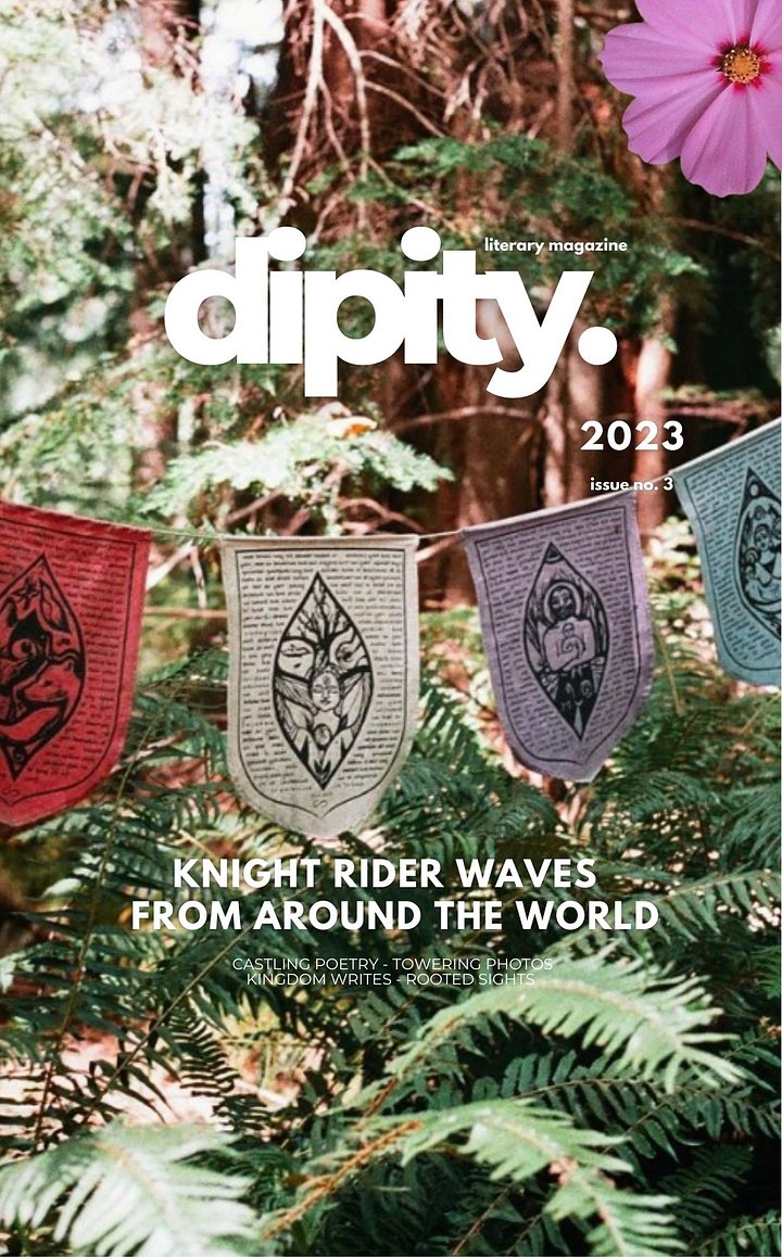 Dipity Literary Mag Issue #3 (Castle Terra Kingdom Official Gallop Edition): Poetry, Photography & Short Stories - March, 2023 - Digital Edition product image (1)