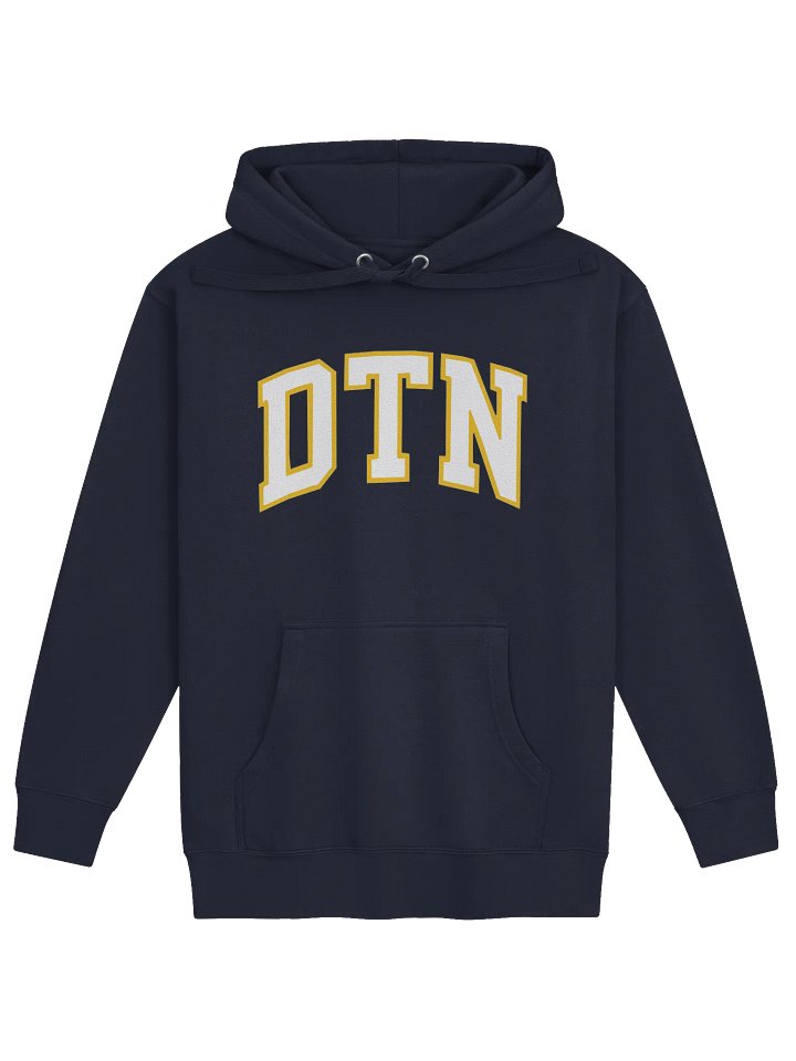 The Official DTN Hoodie product image (1)