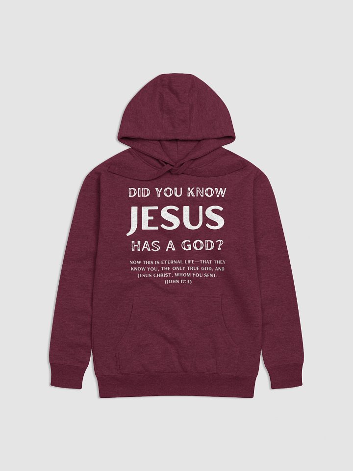 Jesus Had a God Unisex Premium Regular Fit Hoodie product image (5)