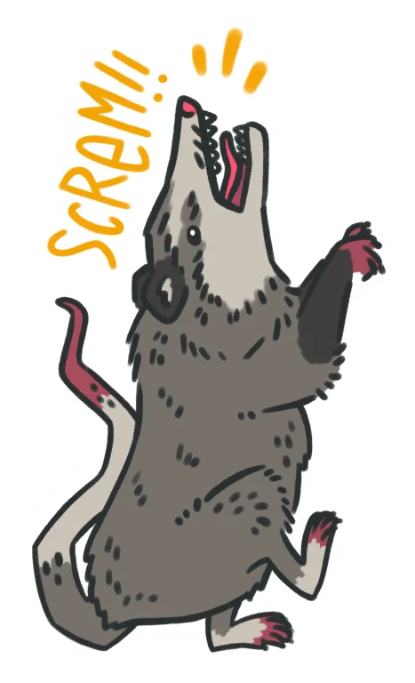 sticker : skrem oppossum product image (1)