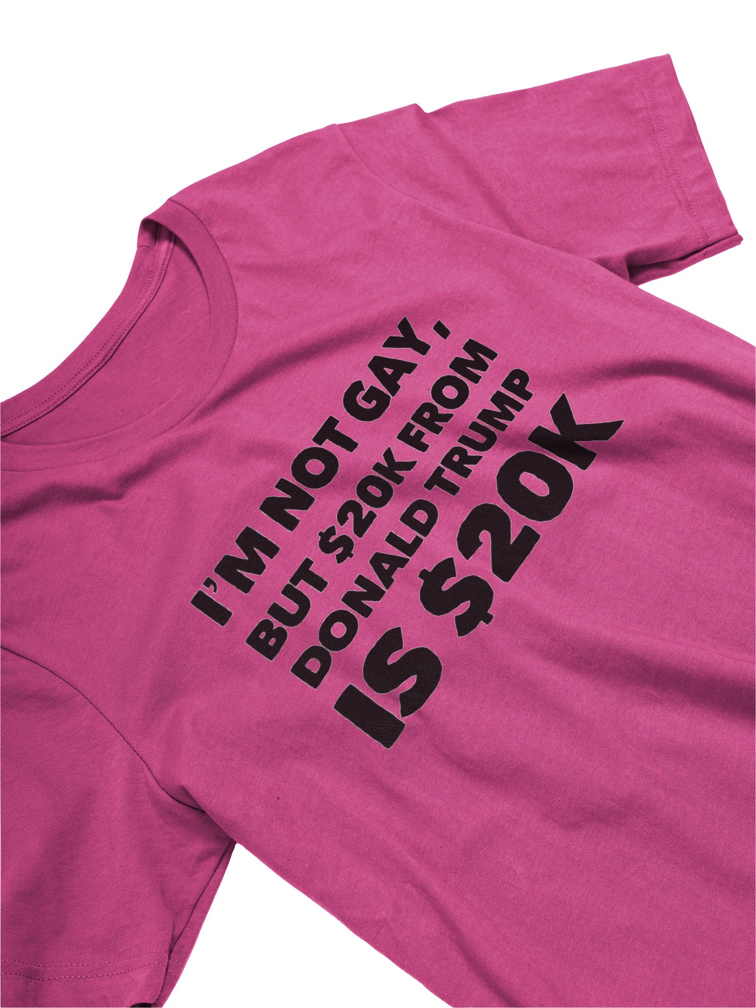 Not Gay $20K Tee Shirt product image (9)