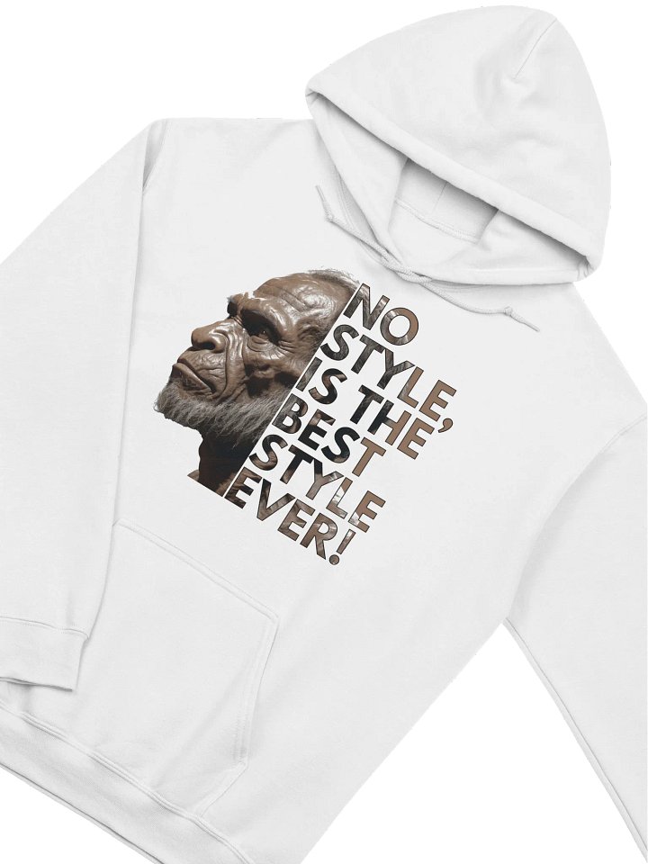No Style Vibes Hoodie product image (10)