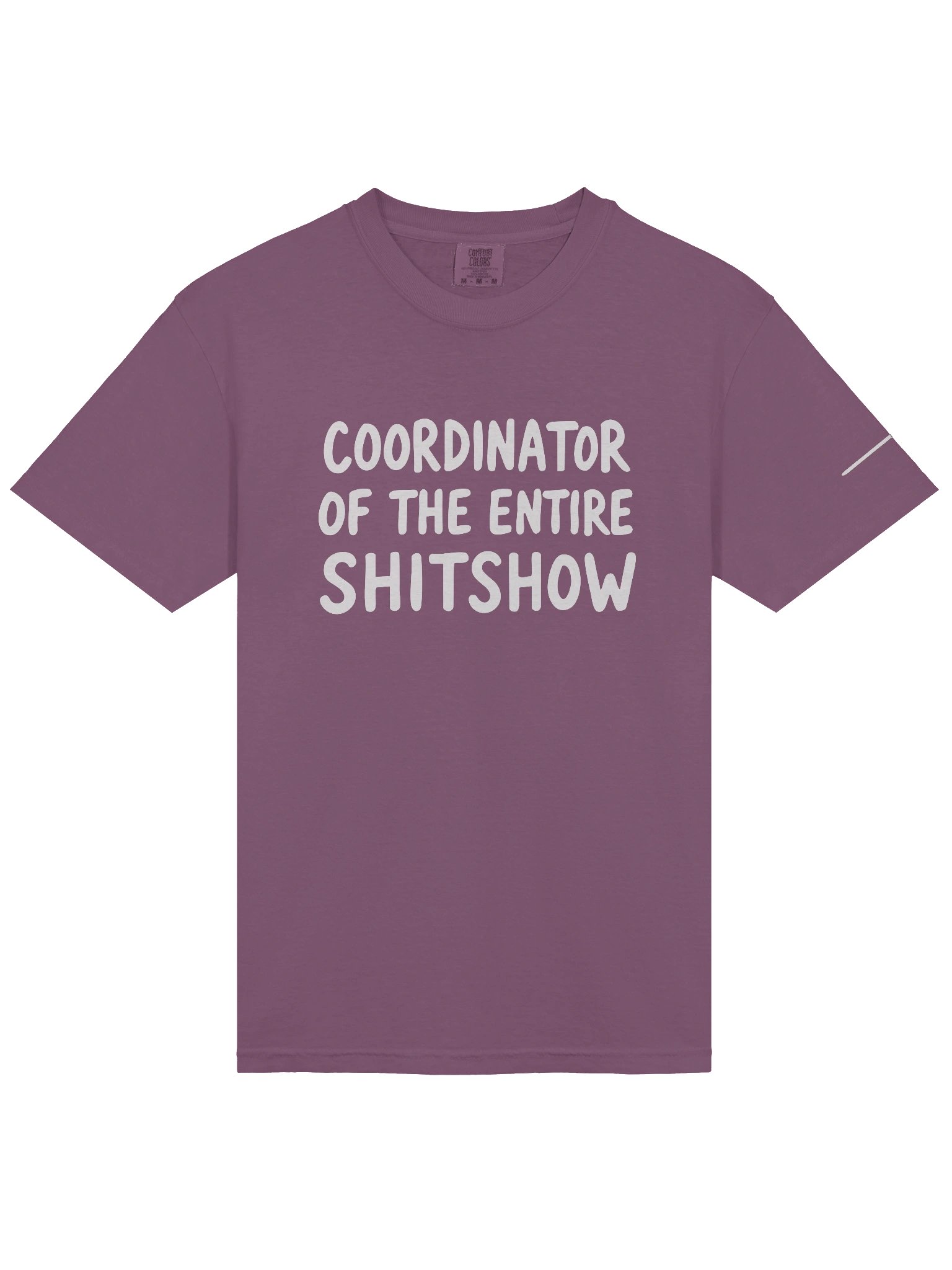Somebody-Has-To-Be-One Tee product image (9)