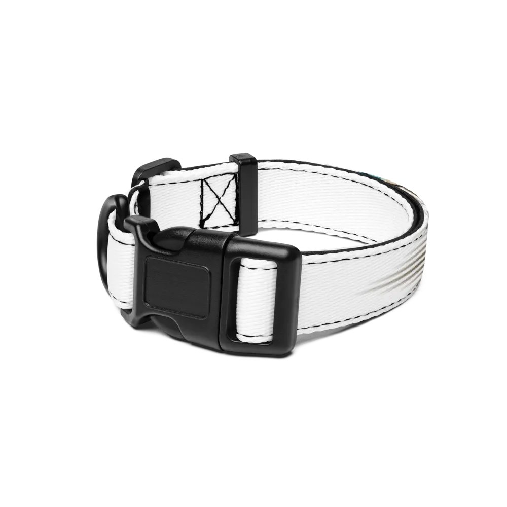 Pet Collar Cute.CunFashion.com product image (1)