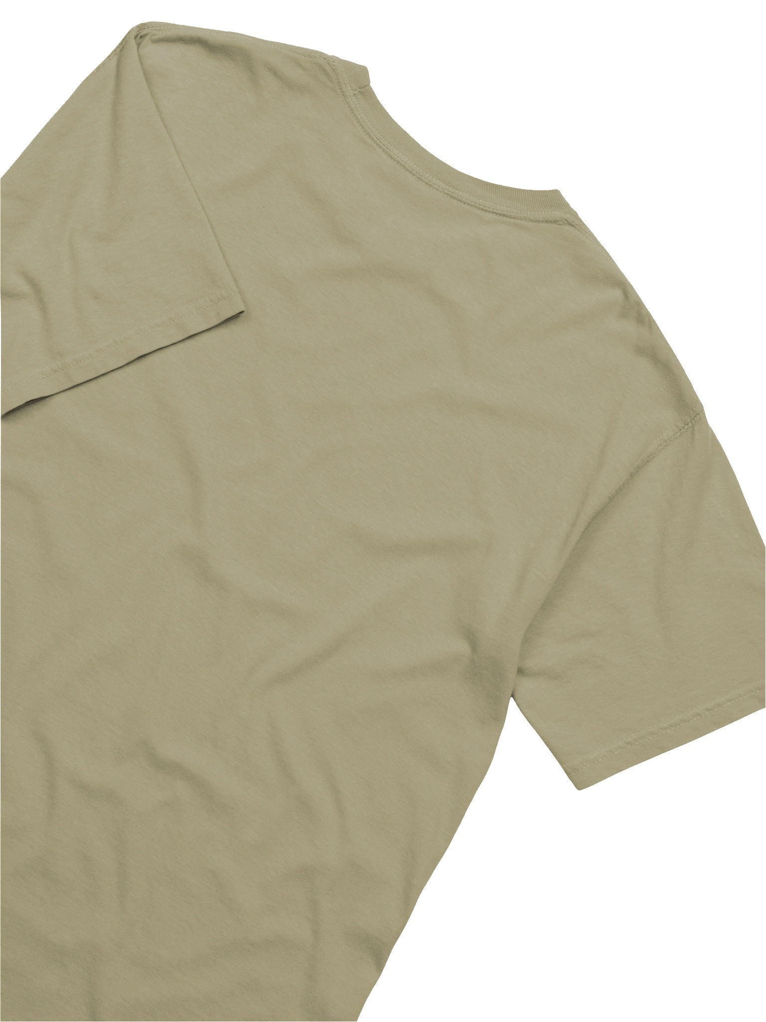 Twinkle & Little Sue: Iconic Heavyweight T-shirt no. 2 product image (16)