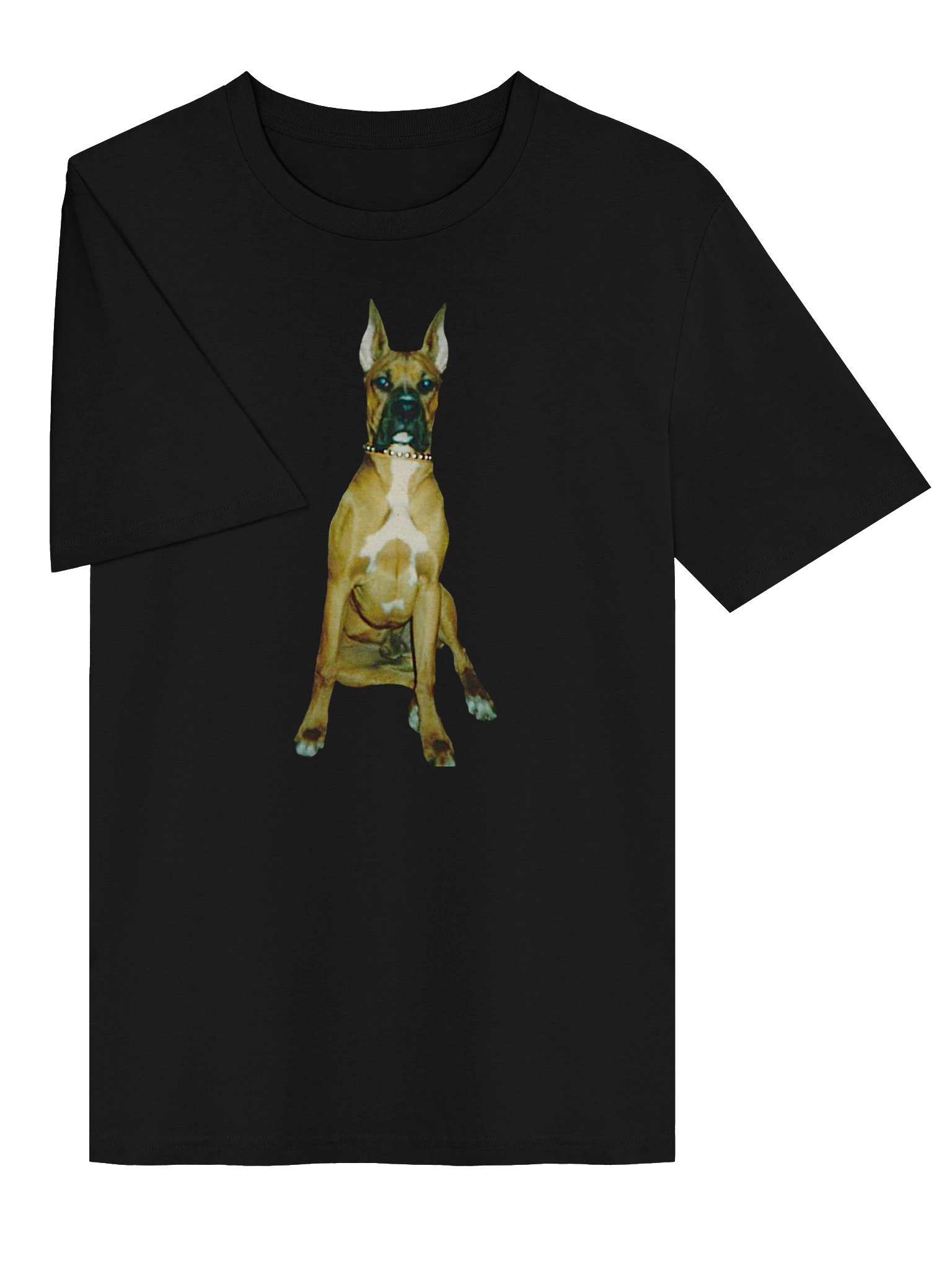 Max product image (3)
