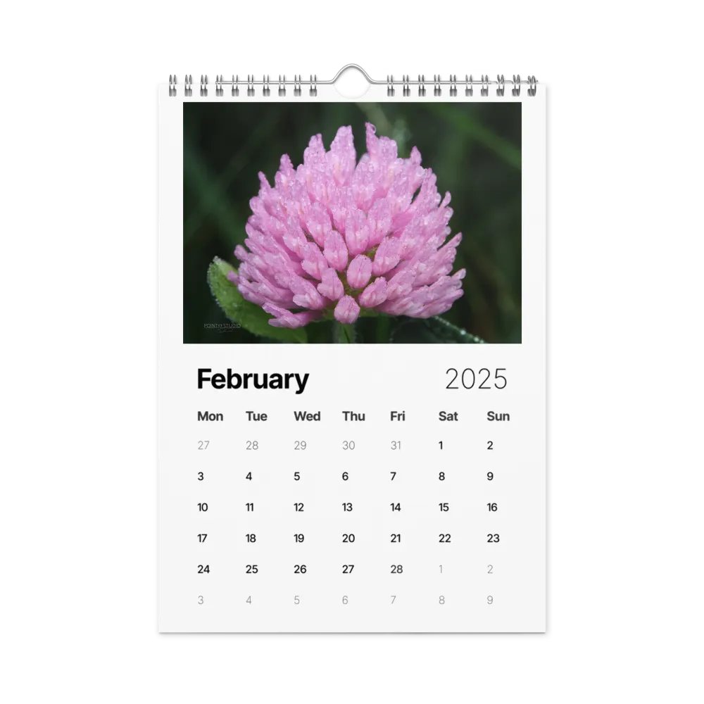 Pure Colors 2025 Wall Calendar product image (3)
