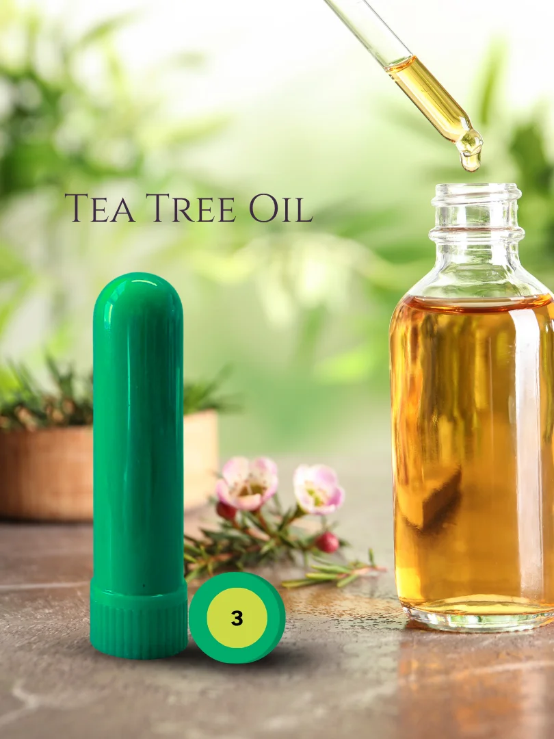 Olfaria Herbal Odor Training Kit | 5 Single-Note Essential Oils | Scent Education | Train Your Nose product image (4)