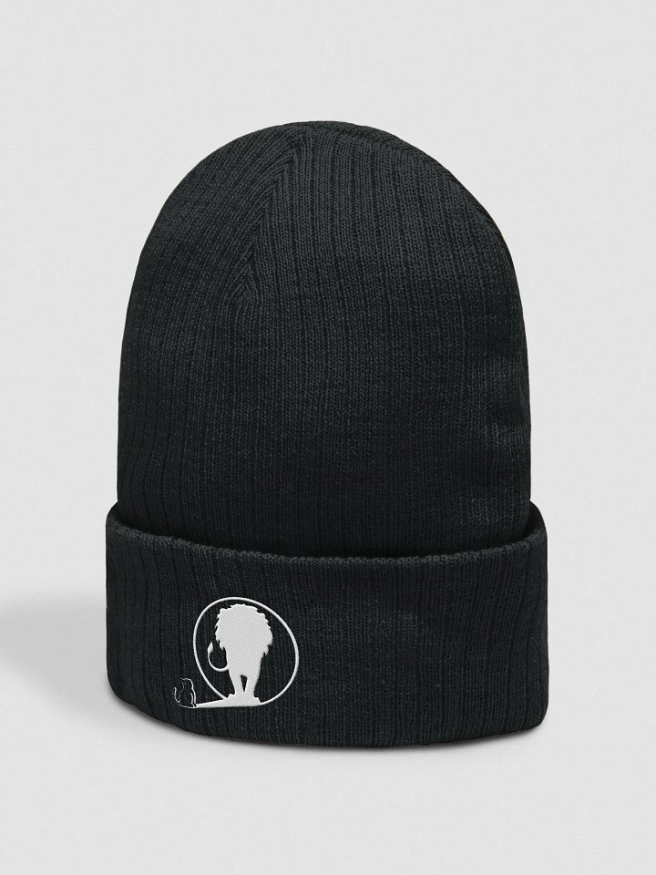 Atlantis Ribbed Knit Tiny Beanie product image (2)
