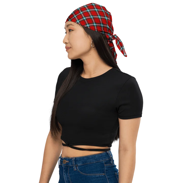 MacLaine Tartan Bandana product image (1)