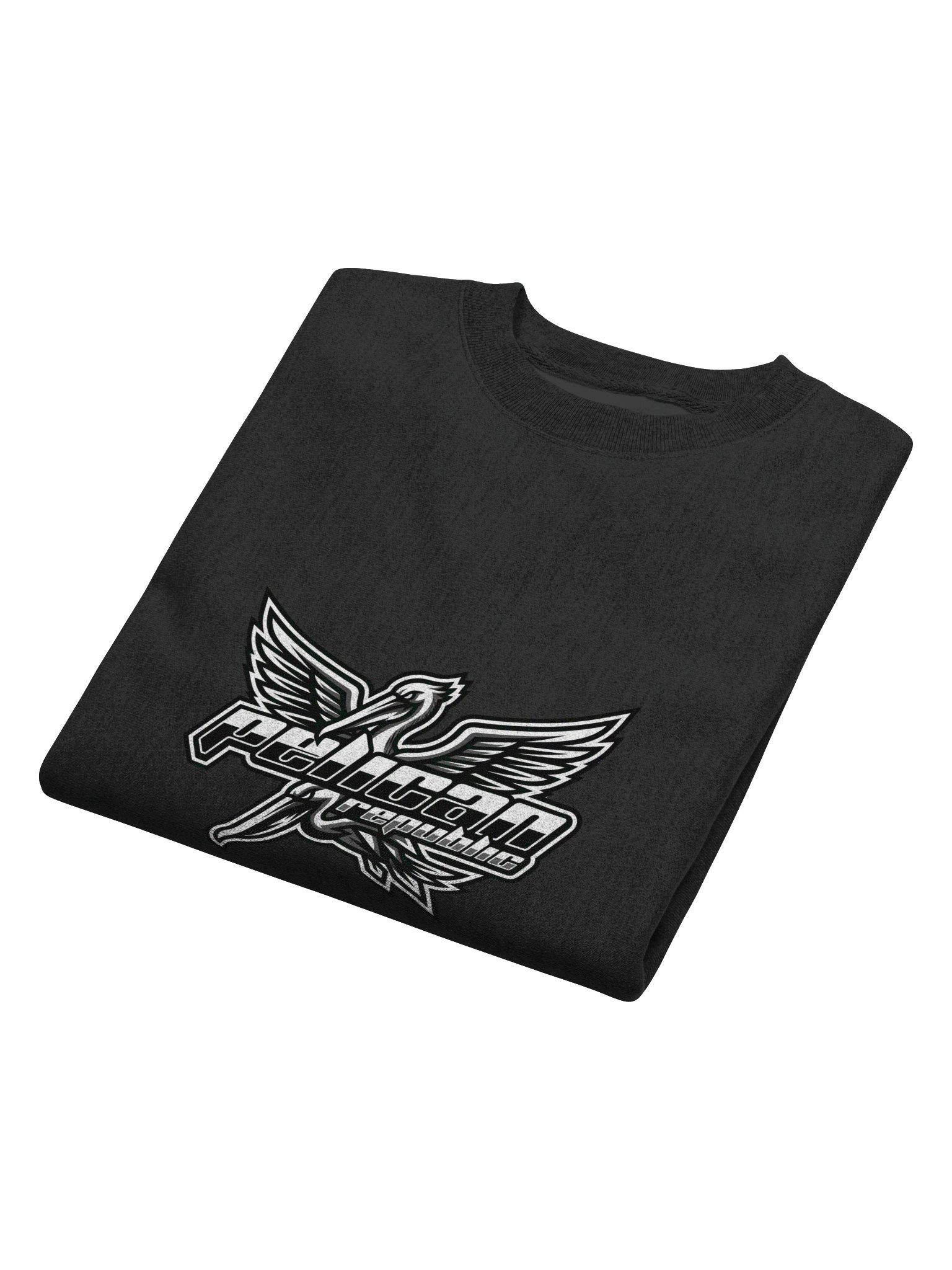 Pelican Republic Champion Cotton Sweatshirt product image (6)