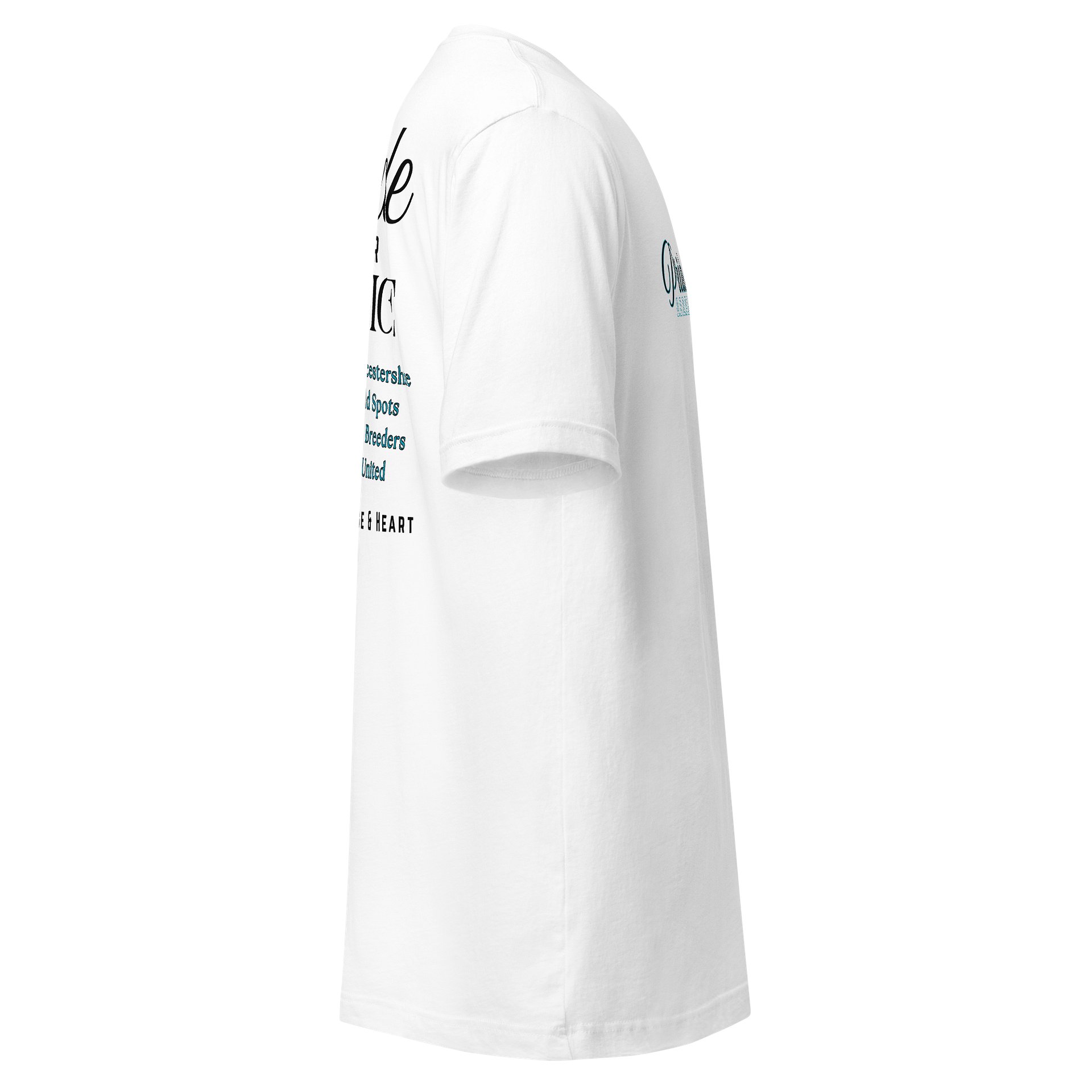 Ultimate Comfort Classic T-Shirt product image (4)