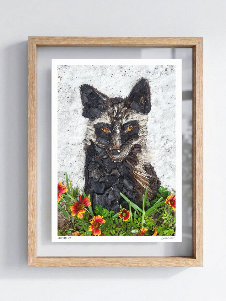 SILVER FOX | Fine Art Print product image (1)