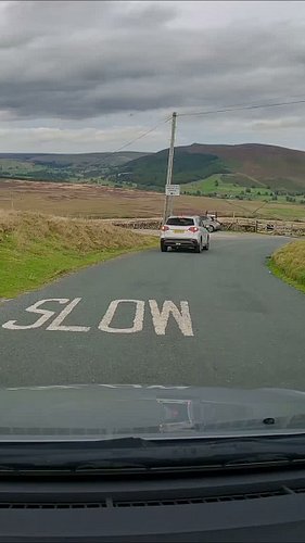 Why don't more slow drivers do this? 🤷