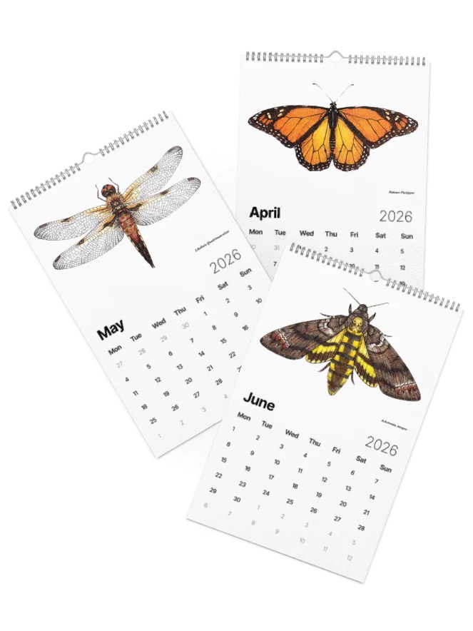Insectum Abstractus • 2026 Calendar product image (31)