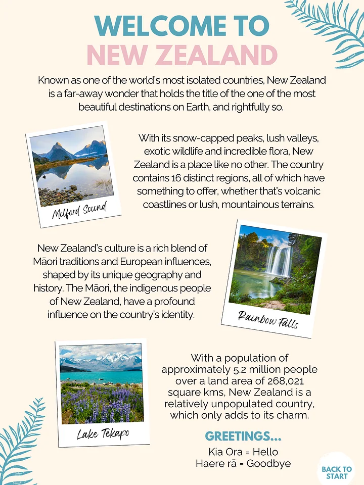 New Zealand Pocket Guide ✨SUMMER SALE✨ product image (2)