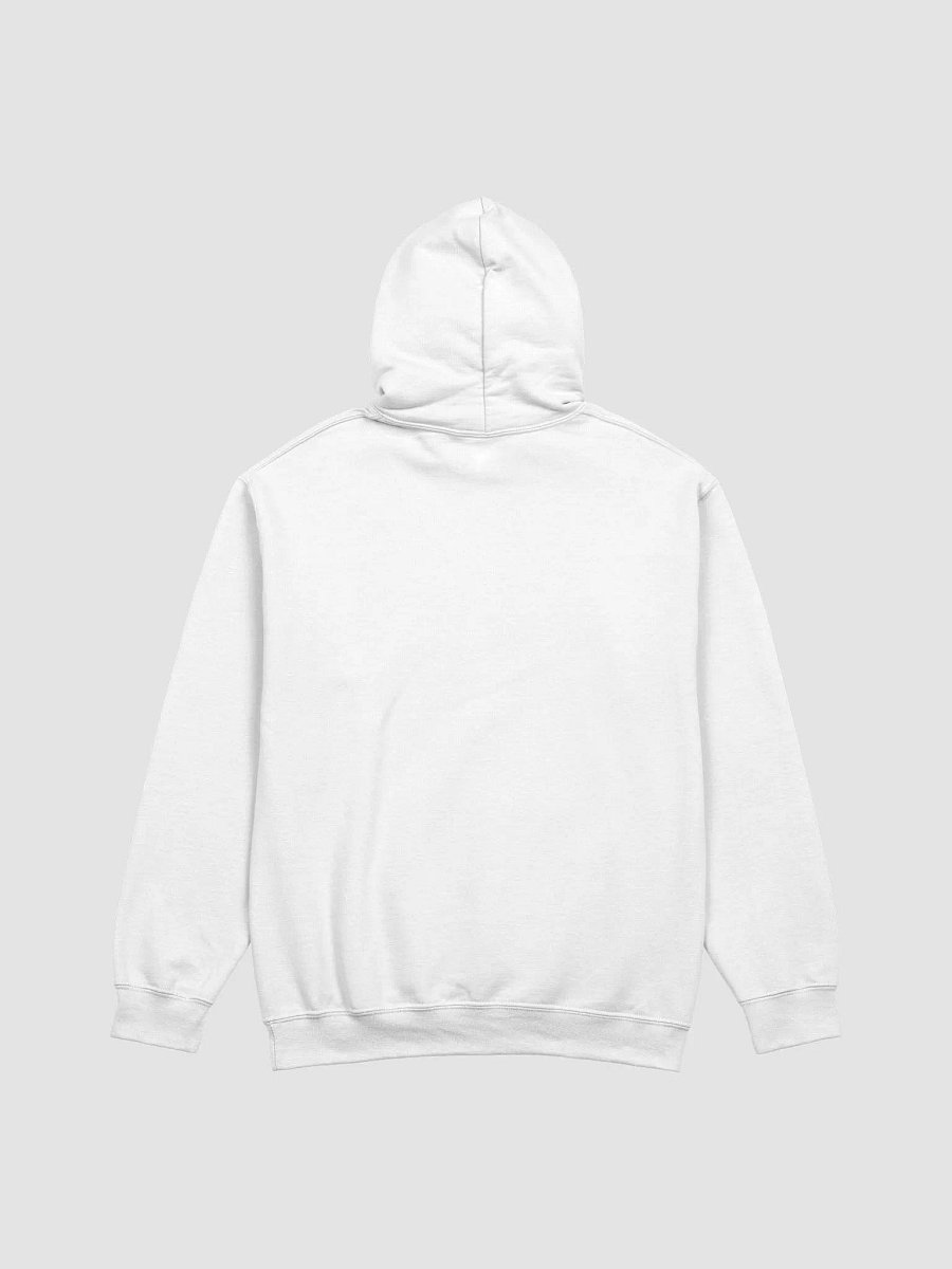 Miami LAN Hoodie product image (4)