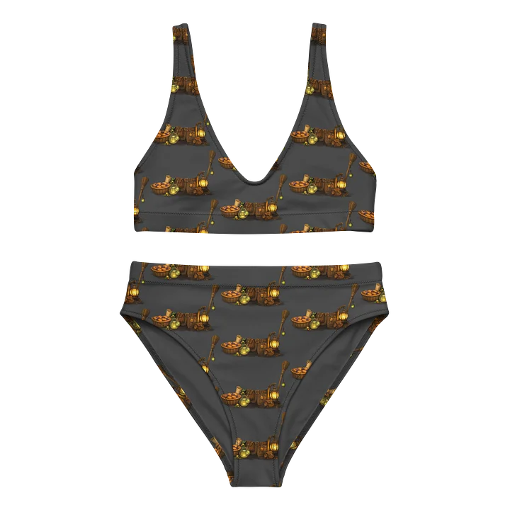 Kingdom Grovelings 2 High waisted Recycled Bikini Set product image (1)
