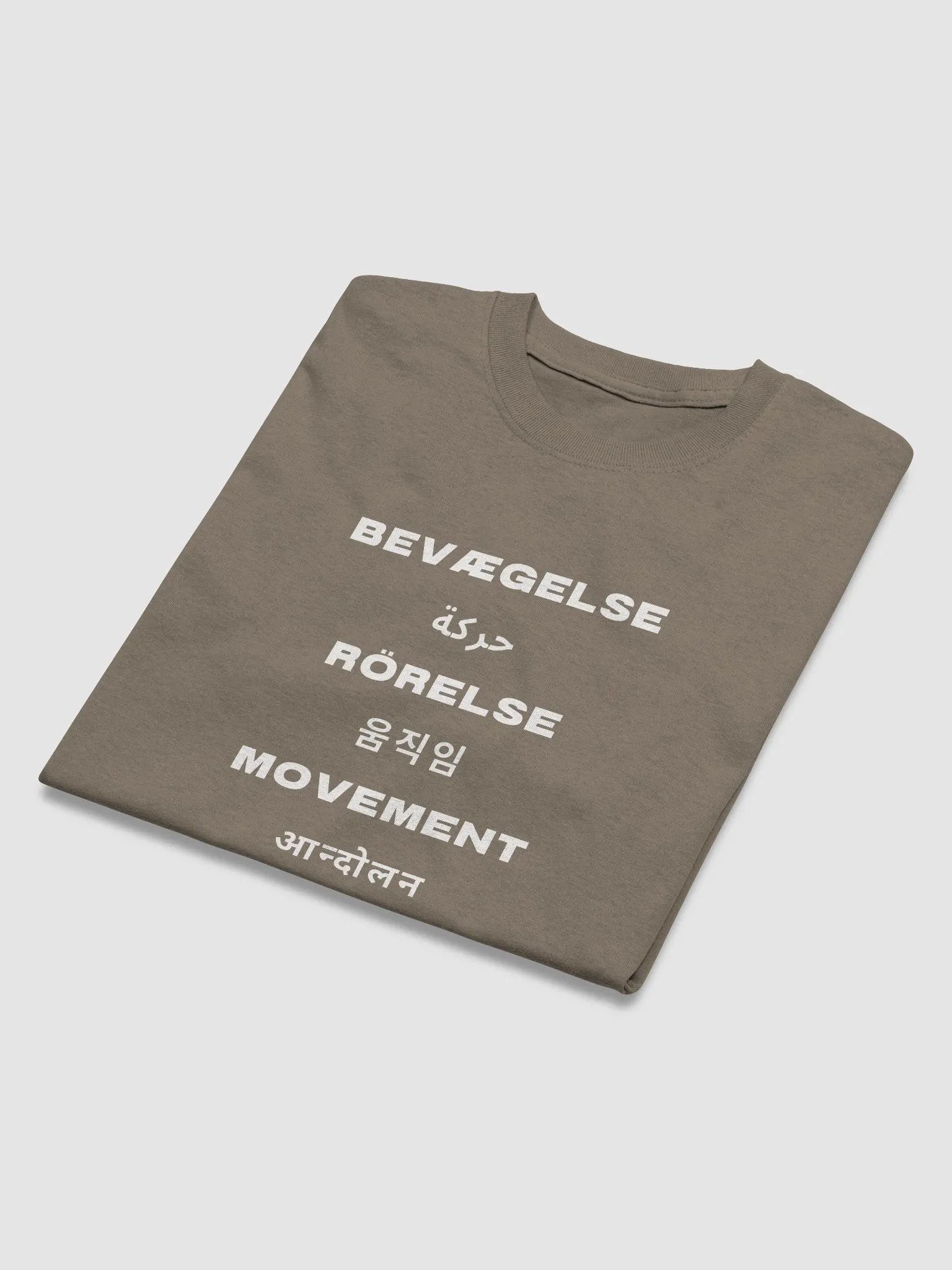 International Movement Tee - Brown Savana product image (3)